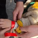 송당승마장 | 제주시 27개월 아이와 함께 가볼 만한 곳 송당 승마장 밧줄 놀이터