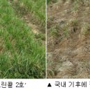 풀로그린