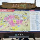 하동코스모스메밀체험민박 | 하동 북천코스모스메밀축제 다녀온 후기