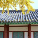 전주한옥마을 골목길 이미지