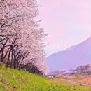 벨톤보청기 이미지