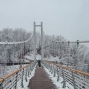 하늘다리 이미지