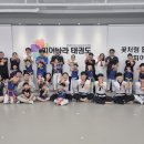 피어나라 태권도 이미지