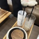 일심양꼬치점 | 노원역 카페 추천 키팜 아이랑 함께 스마트팜 이색체험 데이트 애견동반 주차