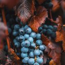 재미있는 역사이야기 이미지