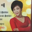 박미애 노래교실 이미지