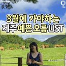 3월에 가야하는 제주 예쁜오름LIST 이미지