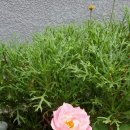 달팽이펜션 이미지