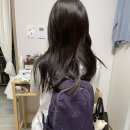 티타늄 고데기 추천 AZH 프로페셔널 플랫 헤어 스트레이트 유선 고데기 사용후기