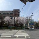 양화중학교 내 | 사회보험전문가 42회 시험합격후기 ㄷㄷ