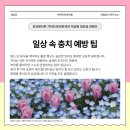 예가치과의원 이미지