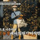 대성직업소개소 이미지