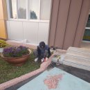 경주초등학교 이미지