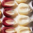 도전 E-book 만들기 이미지