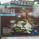 편백세상