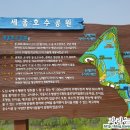 대전심리상담센터자라는나무 이미지