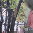 40대 남성 아파트 12층서 추락…빨래 널다 바닥으로 떨어진 것으로 추정 이미지