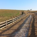 동호목장 이미지