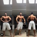 IFBB 프로 김민수 선수의 근질 이미지