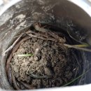 태공낚시 이미지