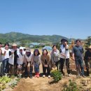 생담원농장 이미지