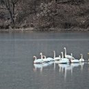 신대호수 이미지