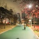 청라호수공원(제2주차장) | 밤 산책을 하기도 좋은 인천 가볼만한곳 청라호수공원