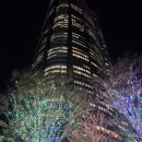 서원동 보도육교 앞 | 도쿄 롯폰기 일루미네이션 포토존과 크리스마스마켓