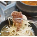 숲속의 정원 이미지