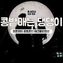 콩밭매는 강아지 이미지