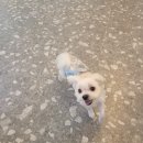 토비네 살롱 이미지