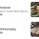옥상위 물고기