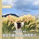 김해시농업기술센터 | 김해 농업기술센터 김해팜파스 가을 포토존 추천