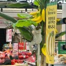 아람채소과일마트 | 은평 롯데몰 롯데마트 그랑그로서리 후기 | 과일·채소가 유독 신선해 보였던 이유