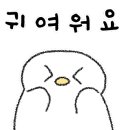 연지어린이집 이미지