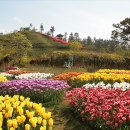 순천만 우리 이미지