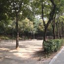 신현대부동산중개법인 이미지