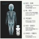 러브웨이 | 폴레드 에어러브4 신생아 유모차 라이너 도넛 롤리팝 오레오 비교 후기 추천템 pick!!