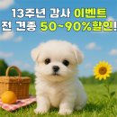 아이러브 독 이미지