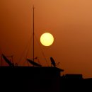 첫번째 계절 이미지