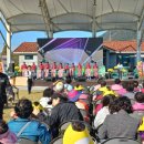 무정면 은행나무 축제 | [2024 제2회 무정면 은행나무축제]그 빛나는 현장 속으로