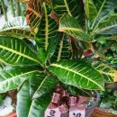 새별나라어린이집 이미지