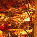 양재(야간) 이미지