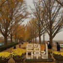 은행나무길 대여소 이미지