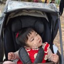 353 | [D+353] 육아일기 &amp; 후기 이유식: 벚꽃 구경은 삐딱해야 제맛? 초음파 사진과 포크 도전기!🍴