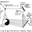 뇌와 혼의 관계 이미지