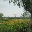 낙동강변로4-4 이미지