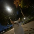 영신고등학교 내 | 이빨사이에낀스파게티