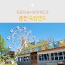 솔터농장 2 | 춘천 아이와 가볼만한곳 육림랜드&amp;강원도립화목원 추천