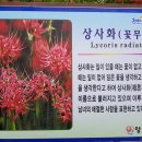 모악보건진료소 이미지